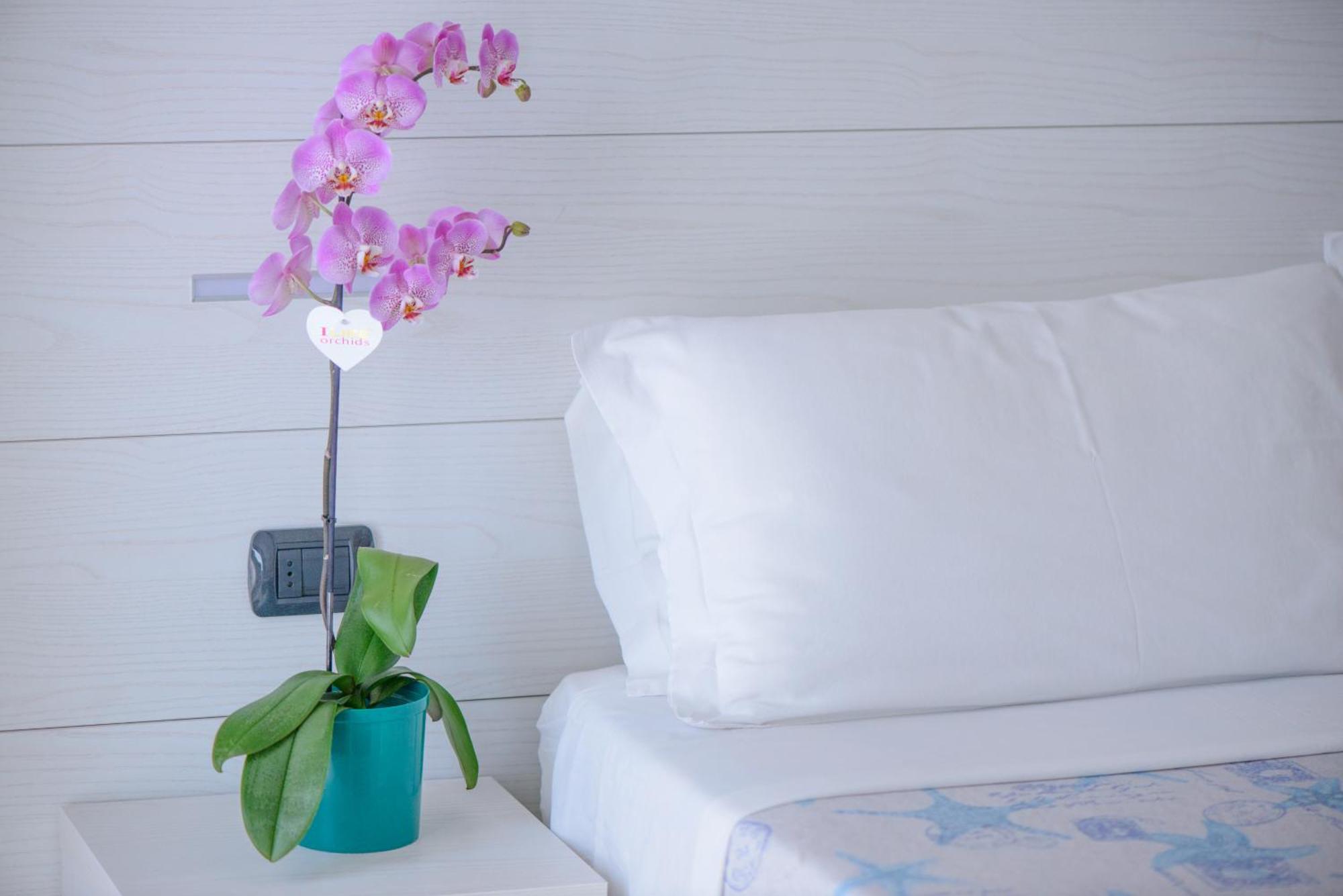 Hotel Sans Souci 리미니 외부 사진
